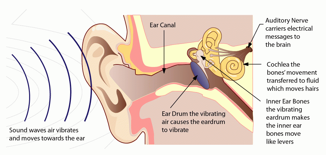 does sound travel high or low